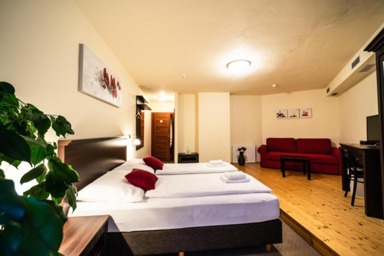 Standard Double room