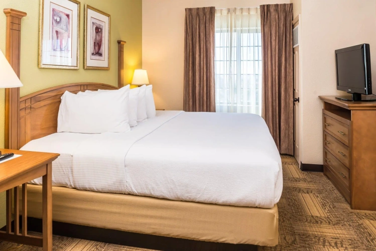 1 Bedroom Double Suite