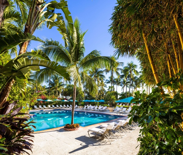 The Palms Hotel and Spa photo 41