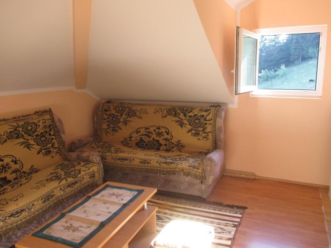 Deluxe Family room