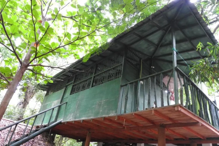 Standard Double room with balcony and with view