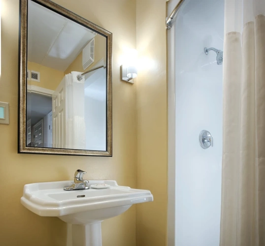 1 Bedroom Standard Suite