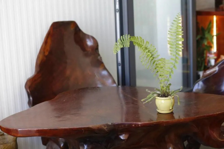 Sandy Home