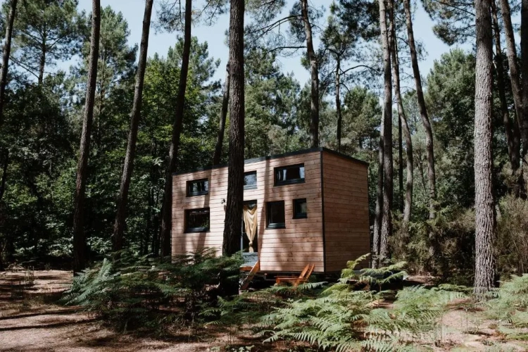 Family Bungalow