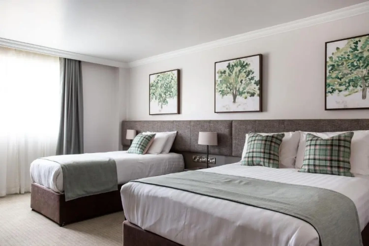 Deluxe Twin room
