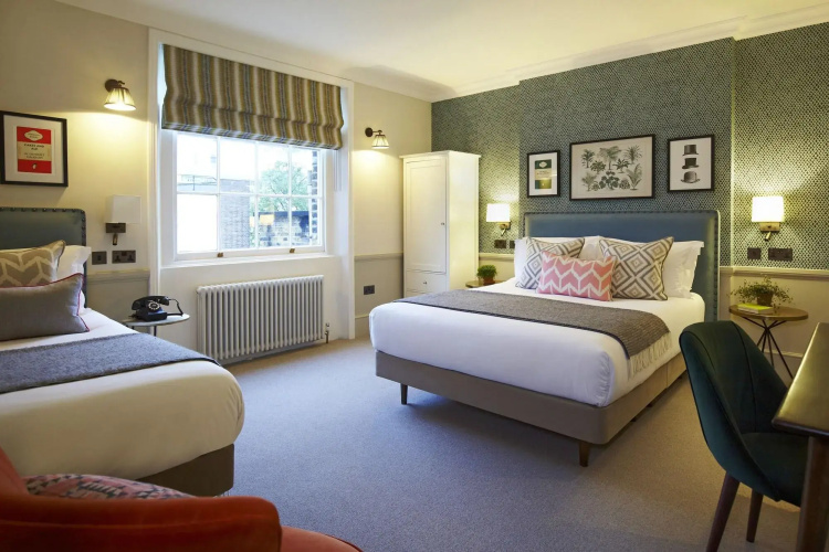 Room Mate Lime Tree
