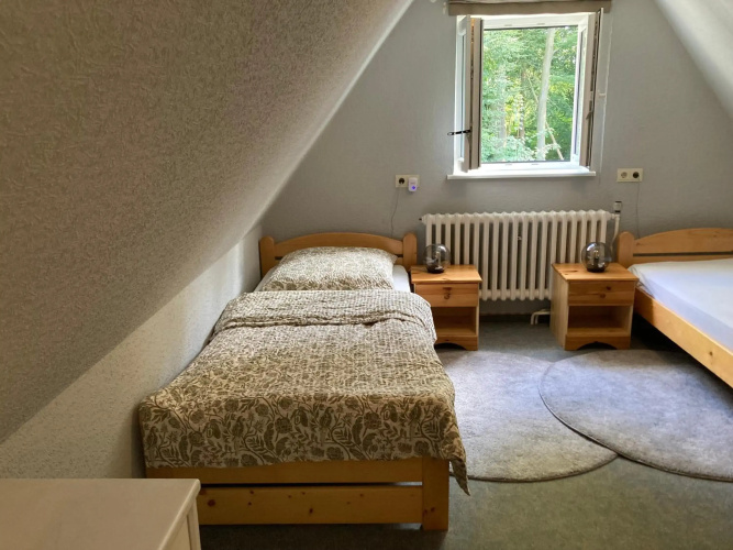 Baumwipfel