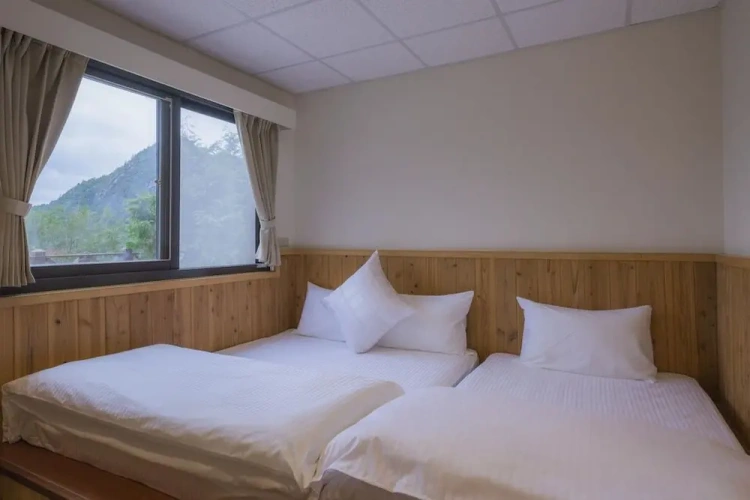 Standard Double room with mountain view