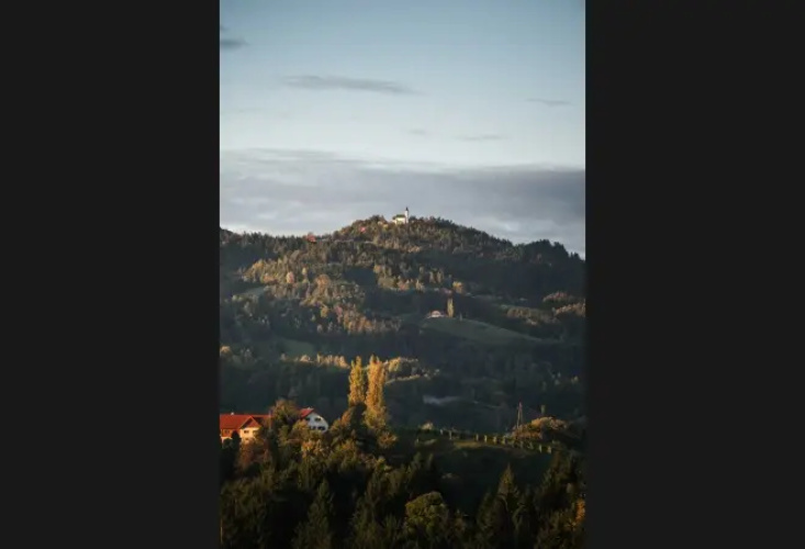 The Old School Guesthouse