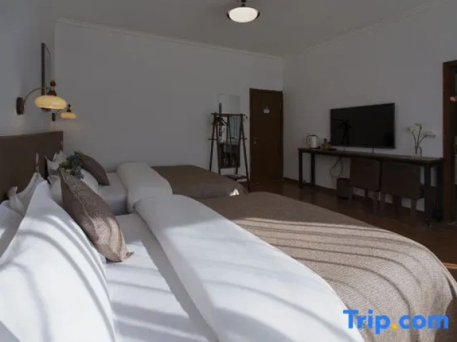 Standard Twin Family room