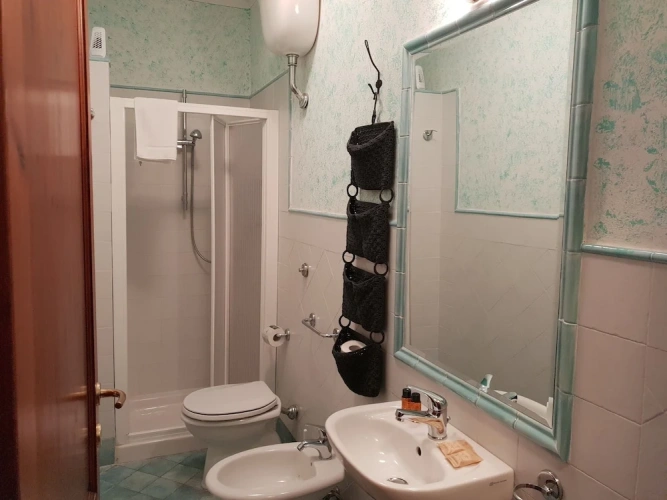 Basement Apartment