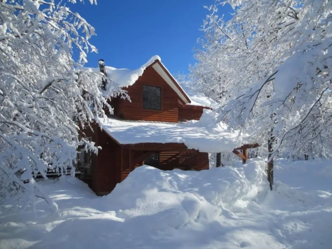 Deluxe Bungalow