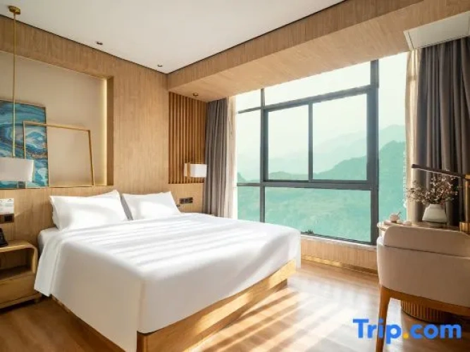 Standard Double room with city view