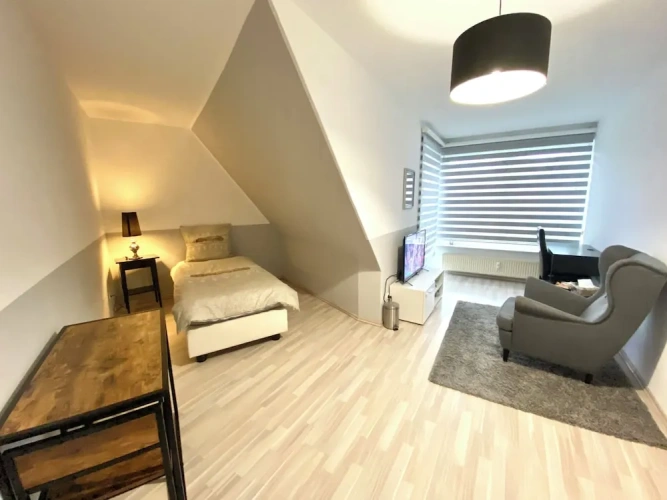 Deluxe Apartment