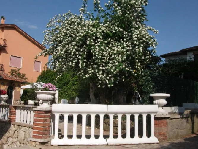 Standard Double room with balcony and with view