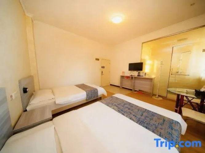 Standard Double Family room