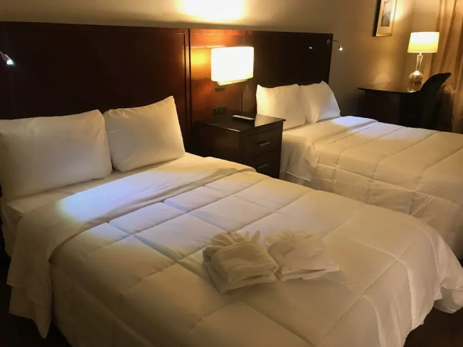 Luxury Quadruple Suite