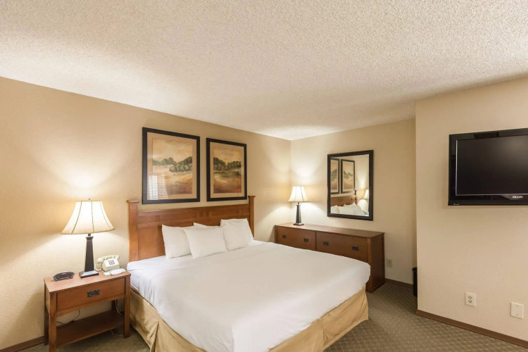 Quality Inn & Suites Plano