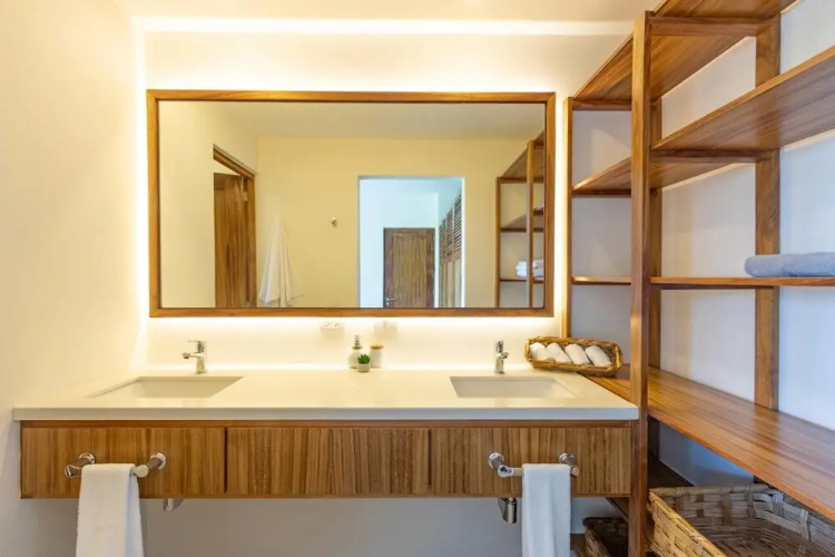 Agaves 204