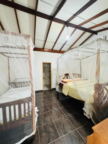 Boho Hostel & Restaurant Mirissa