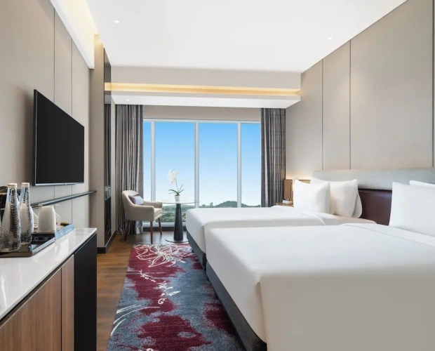 Deluxe Twin room with city view