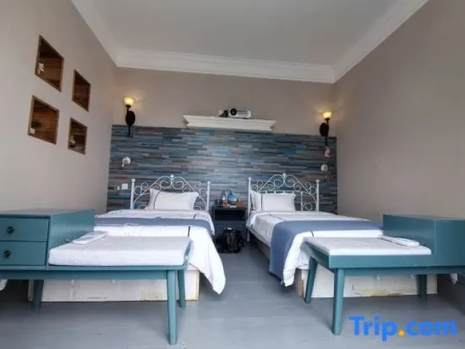 Standard Twin room with balcony and with sea view