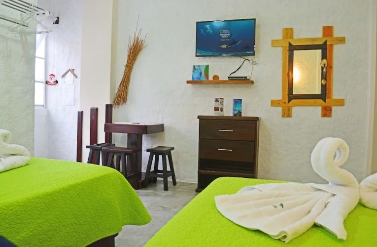 Standard Double room with balcony and with view