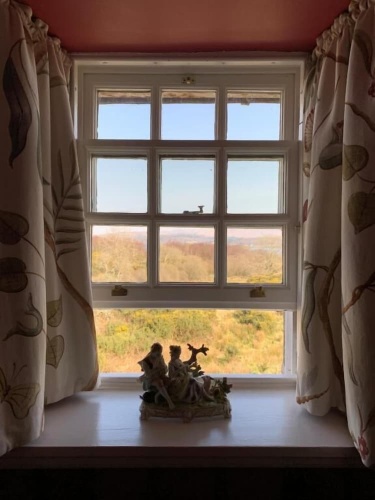 Superior Double room with lake view