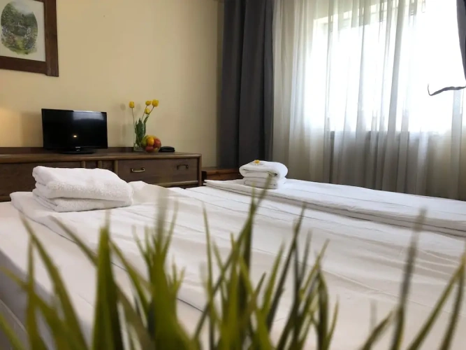 Deluxe Double room with mountain view