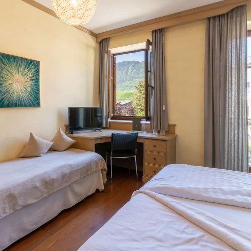 Standard Double room with mountain view