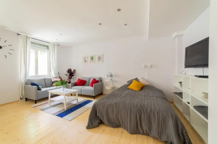 1 Bedroom Apartment