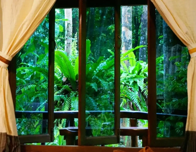 Deluxe room with balcony and with park view