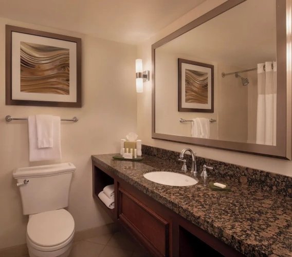 1 Bedroom Junior Suite