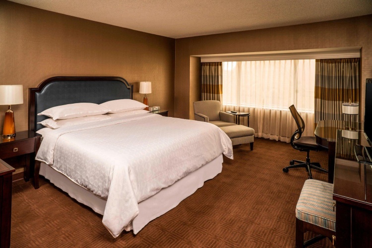 Standard Double Club room