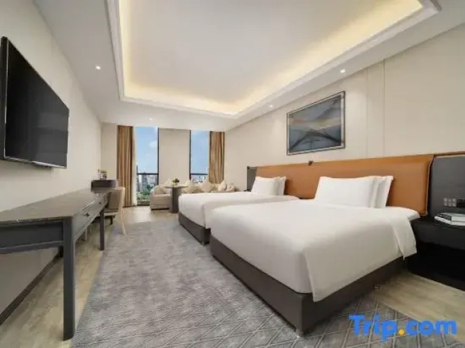 Standard Double room with city view