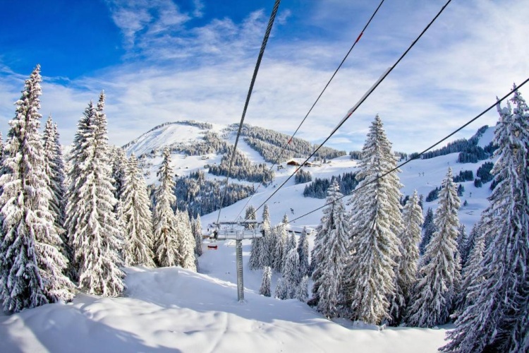 2 Bedrooms Double Apartment