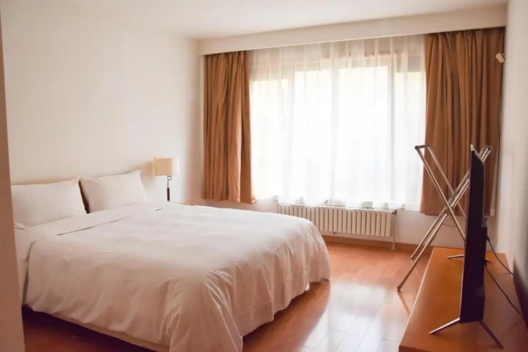 Premium Apartment with balcony