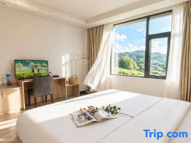 Standard Double room with mountain view