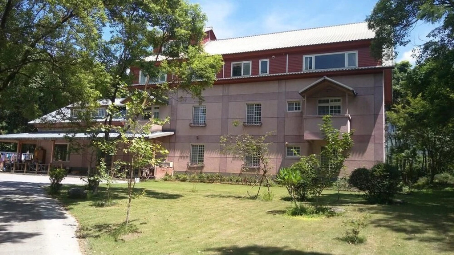 camphor tree manor