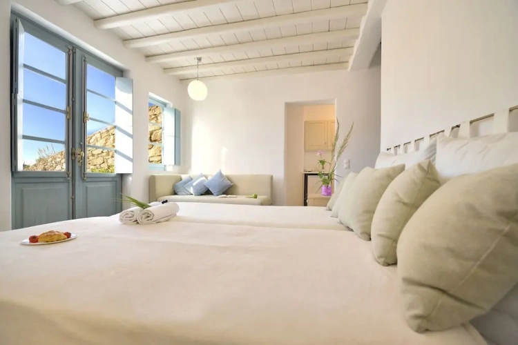 1 Bedroom Classic Apartment