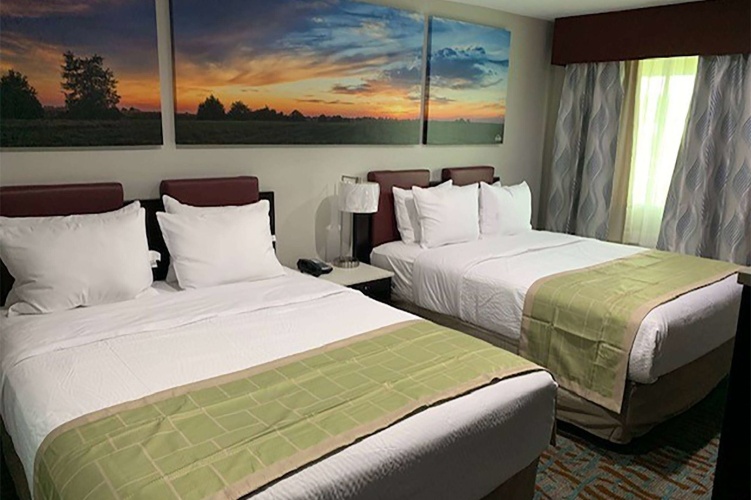 Guest rooms