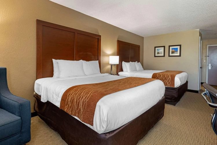 Guest rooms