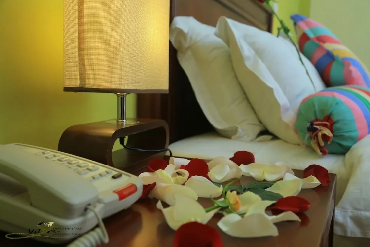 Twin Suite