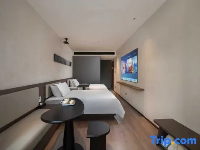 Standard Twin room with view