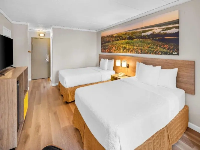 Standard Quadruple room