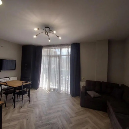 Apartment 102 Bakuriani