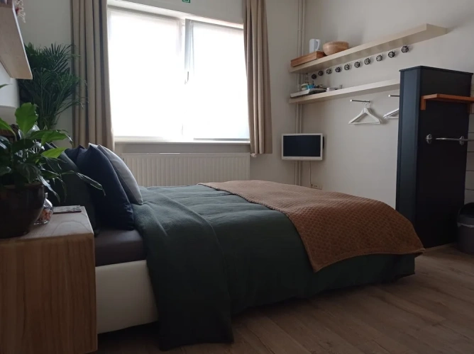Standard Double room with garden view