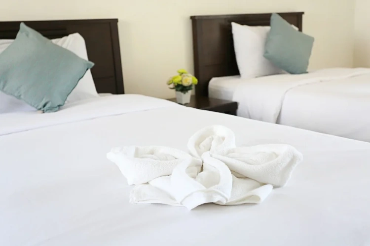 Standard Twin room with balcony
