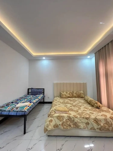 2 Bedrooms Standard Penthouse room