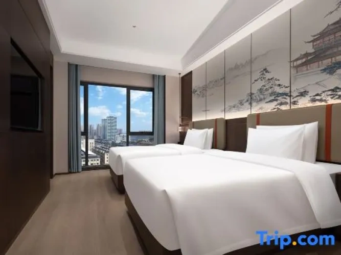 1 Bedroom Suite